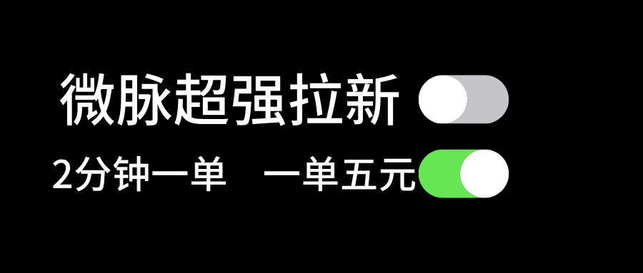（11580期）微脉超强拉新， 两分钟1单， 一单利润5块，适合小白-智创网