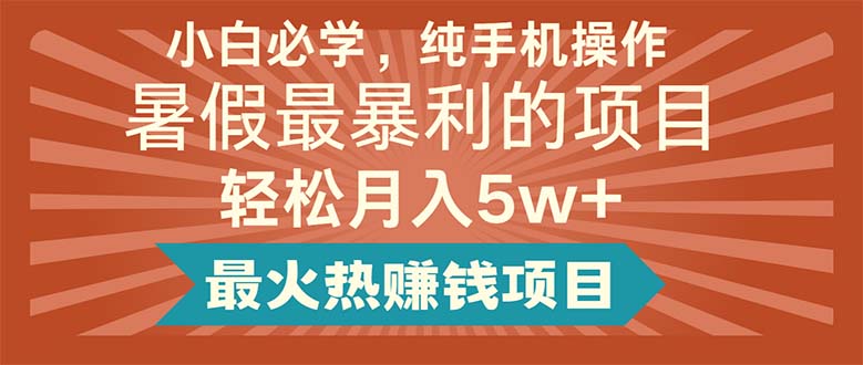 （11583期）小白必学，纯手机操作，暑假最暴利的项目轻松月入5w+最火热赚钱项目-智创网