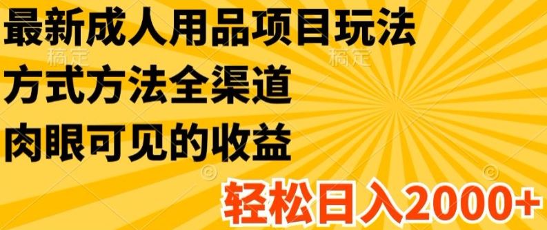 最新成人用品项目玩法，方式方法全渠道，轻松日入2K+【揭秘】-智创网