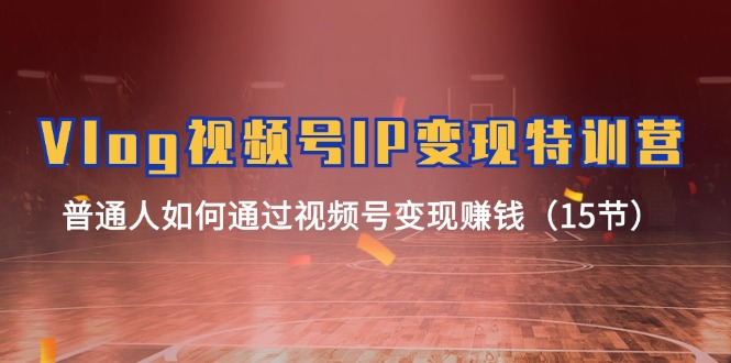 （11654期）Vlog 视频号IP变现特训营，普通人如何通过视频号变现赚钱（15节）-智创网