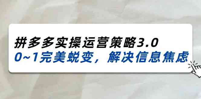 2024-2025拼多多实操运营策略3.0，0~1完美蜕变，解决信息焦虑（38节）-智创网