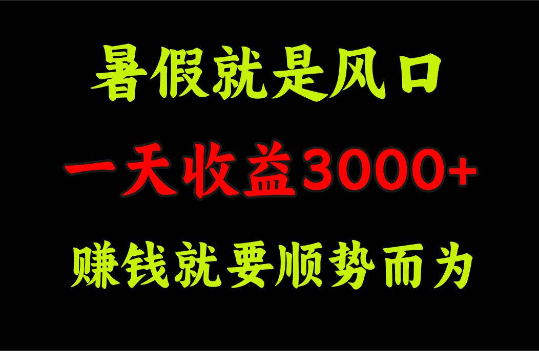 （11670期）一天收益3000+ 赚钱就是顺势而为，暑假就是风口-智创网
