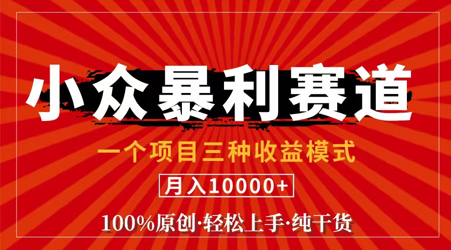 （11695期）视频号【中老年粉深信不疑】小众赛道 100%原创 手把手教学 新号3天收益…-智创网