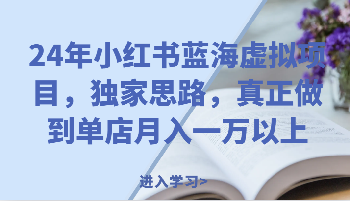 24年小红书蓝海虚拟项目，独家思路，真正做到单店月入一万以上。-智创网