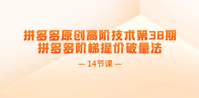 （11704期）拼多多原创高阶技术第38期，拼多多阶梯提价破量法（14节课）-智创网