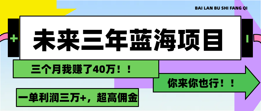（11716期）未来三年，蓝海赛道，月入3万+-智创网