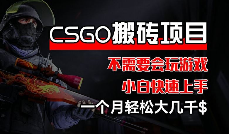 CSGO 装备搬砖项目，操作简单，不需要会玩游戏，小白也能快速上手，一个月轻松大几千【揭秘】-智创网
