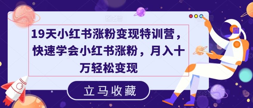 19天小红书涨粉变现特训营，快速学会小红书涨粉，月入十万轻松变现-智创网