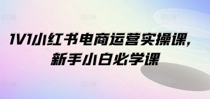 1V1小红书电商运营实操课，新手小白必学课-智创网