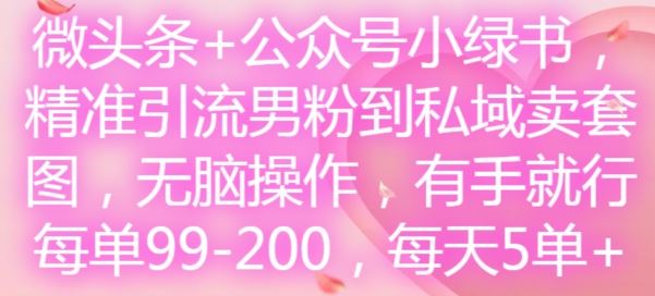 微头条+公众号小绿书，精准引流男粉到私域卖套图，无脑操作，有手就行，每单99-200，每天5单-智创网