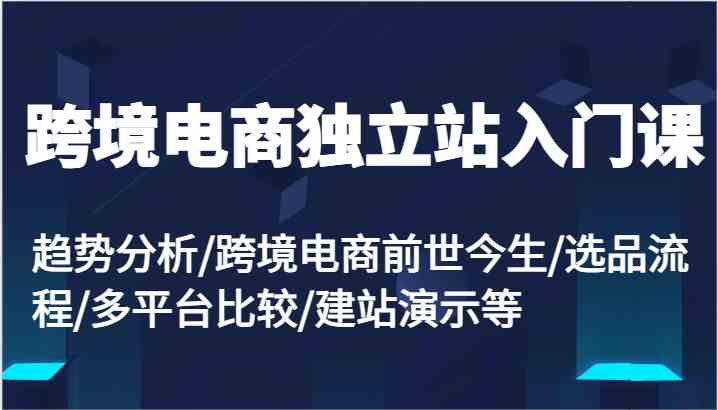 跨境电商独立站入门课：趋势分析/跨境电商前世今生/选品流程/多平台比较/建站演示等-智创网