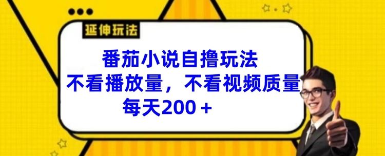 番茄小说自撸玩法，不看播放量，不看视频质量，每天200+【揭秘】-智创网