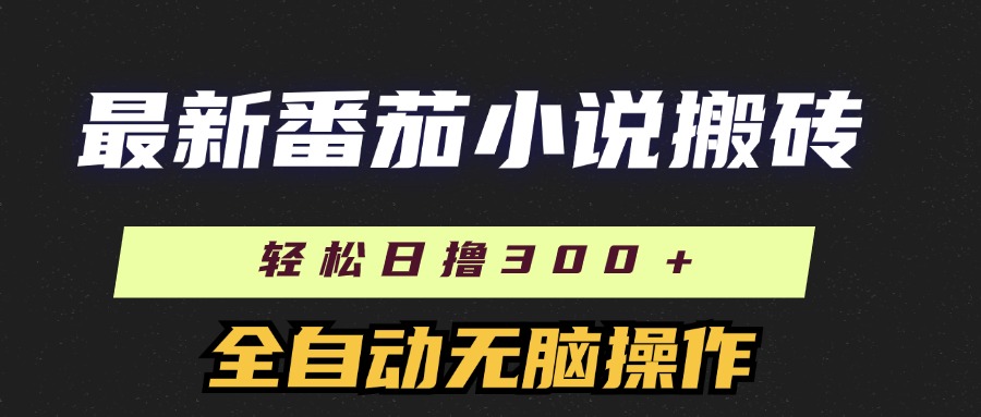 （11904期）最新番茄小说搬砖，日撸300＋！全自动操作，可矩阵放大-智创网
