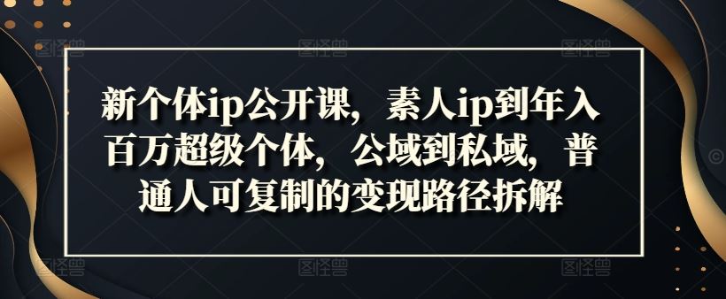 新个体ip公开课，素人ip到年入百万超级个体，公域到私域，普通人可复制的变现路径拆解-智创网