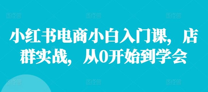 小红书电商小白入门课，店群实战，从0开始到学会-智创网