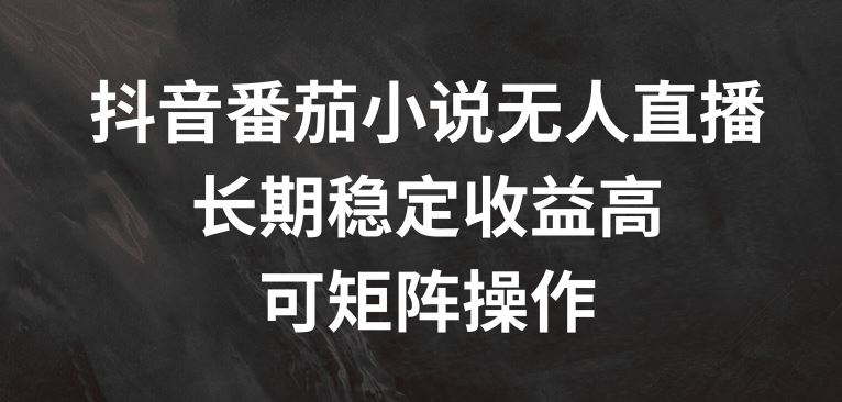 抖音番茄小说无人直播，长期稳定收益高，可矩阵操作【揭秘】-智创网