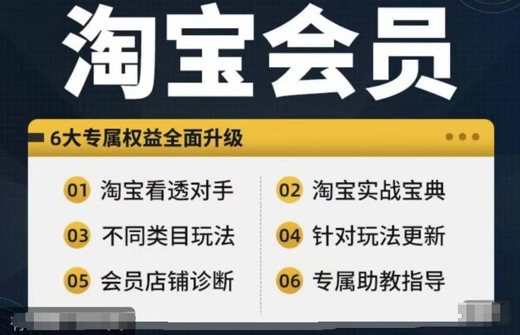 淘宝会员【淘宝所有课程，全面分析对手】，初级到高手全系实战宝典-智创网