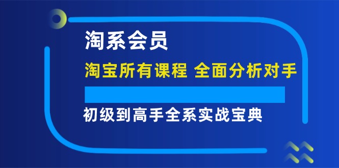 （12055期）淘系会员【淘宝所有课程，全面分析对手】，初级到高手全系实战宝典-智创网