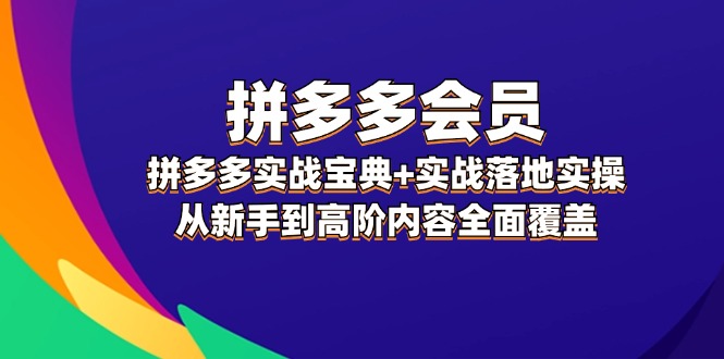 （12056期）拼多多 会员，拼多多实战宝典+实战落地实操，从新手到高阶内容全面覆盖-智创网