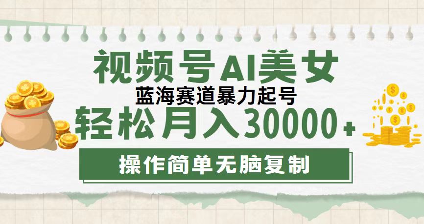 （12087期）视频号AI美女跳舞，轻松月入30000+，蓝海赛道，流量池巨大，起号猛，无…-智创网