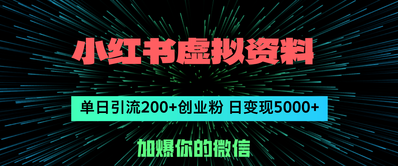 （12164期）小红书虚拟资料日引流200+创业粉，单日变现5000+-智创网