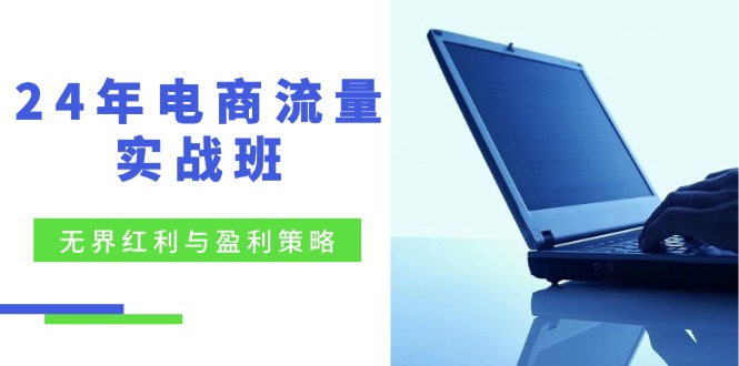 （12168期）24年电商流量实战班：无界 红利与盈利策略，终极提升/关键词优化/精准…-智创网