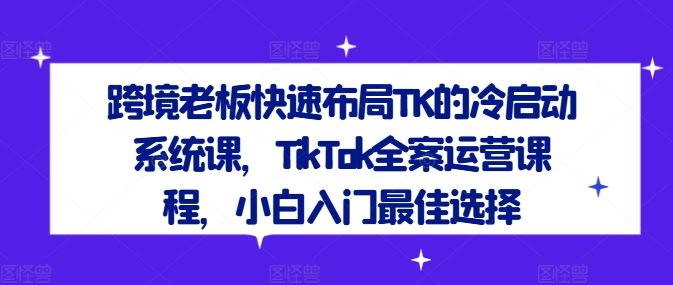 跨境老板快速布局TK的冷启动系统课，TikTok全案运营课程，小白入门最佳选择-智创网