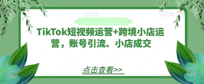 TikTok短视频运营+跨境小店运营，账号引流、小店成交-智创网