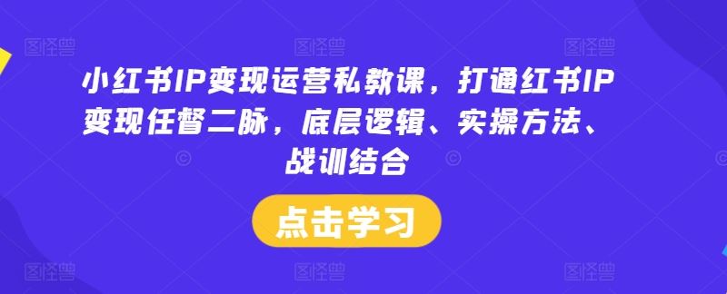 小红书IP变现运营私教课，打通红书IP变现任督二脉，底层逻辑、实操方法、战训结合-智创网