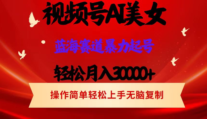（12178期）视频号AI美女跳舞，轻松月入30000+，蓝海赛道，流量池巨大，起号猛，当…-智创网