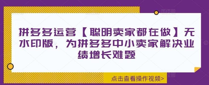 拼多多运营【聪明卖家都在做】无水印版，为拼多多中小卖家解决业绩增长难题-智创网