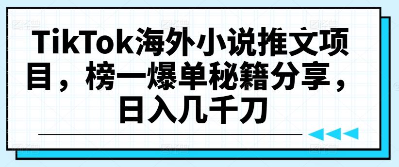 TikTok海外小说推文项目，榜一爆单秘籍分享，日入几千刀-智创网