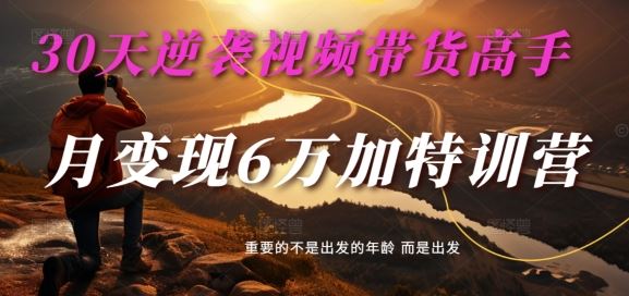 30天逆袭视频带货高手，单月变现6万加特训营-麦子甜-智创网