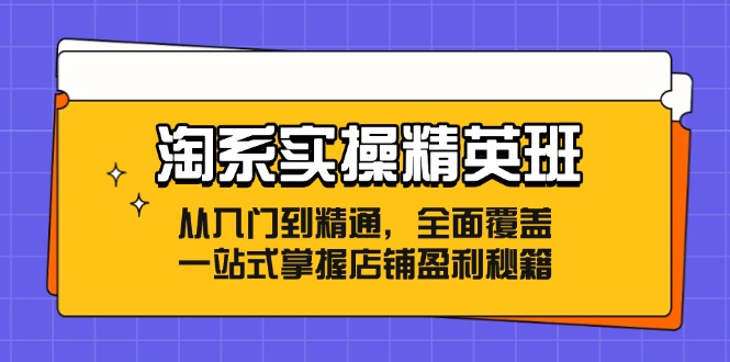 （12276期）淘系实操精英班：从入门到精通，全面覆盖，一站式掌握店铺盈利秘籍-智创网