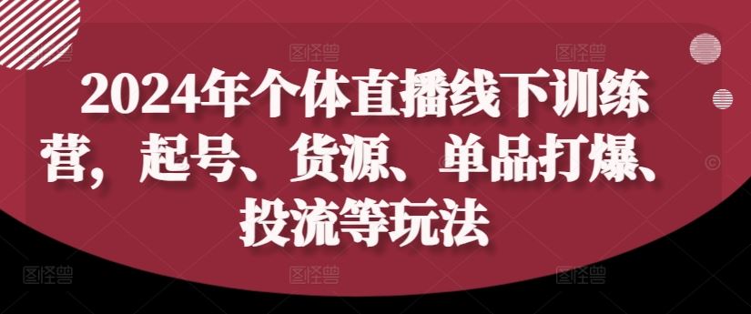2024年个体直播训练营，起号、货源、单品打爆、投流等玩法-智创网