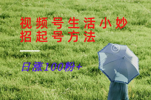 视频号生活小妙招分享赛道， 起号涨粉新方法，日涨100粉-智创网
