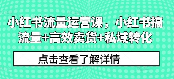 小红书流量运营课，小红书搞流量+高效卖货+私域转化-智创网