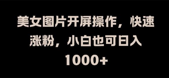 美女图片开屏操作，快速涨粉，小白也可日入1k【揭秘】-智创网