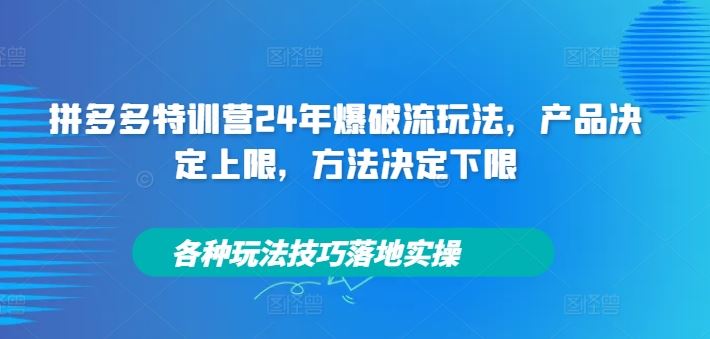 拼多多特训营24年爆破流玩法，产品决定上限，方法决定下限，各种玩法技巧落地实操-智创网