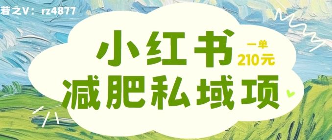 小红书减肥粉，私域变现项目，一单就达210元，小白也能轻松上手【揭秘】-智创网