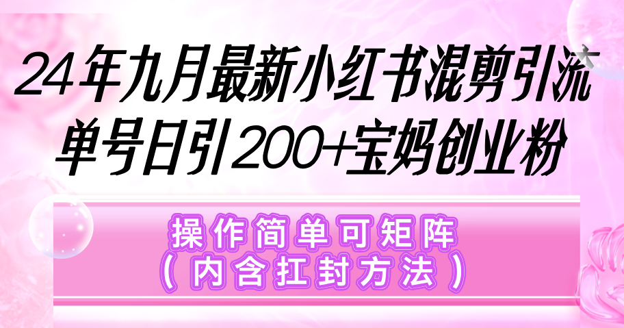 （12530期）小红书混剪引流，单号日引200+宝妈创业粉，操作简单可矩阵（内含扛封…-智创网