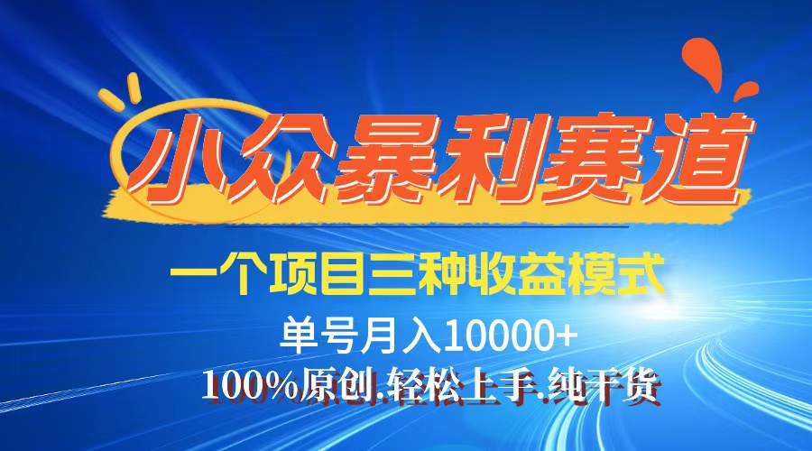 （12579期）【老人言】-视频号爆火赛道，三种变现方式，0粉新号调调爆款-智创网