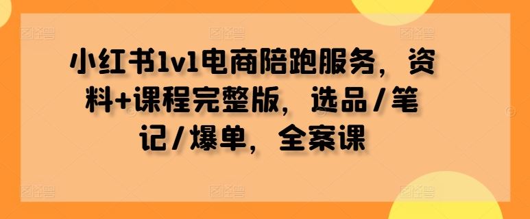 小红书1v1电商陪跑服务，资料+课程完整版，选品/笔记/爆单，全案课-智创网