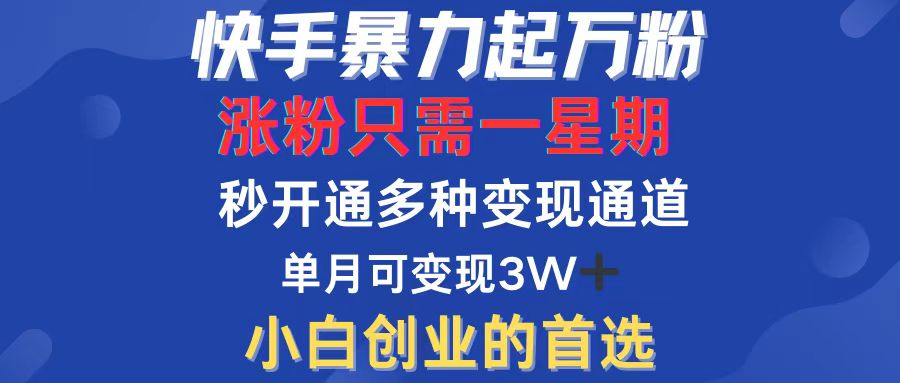 （12651期）快手暴力起万粉，涨粉只需一星期，多种变现模式，直接秒开万合，小白创…-智创网