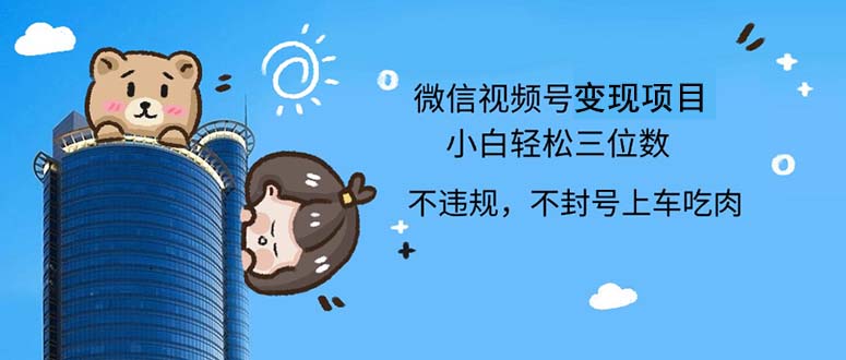 （12660期）2024最新微信视频号，0撸项目，自己玩，小白轻松日入三位数-智创网