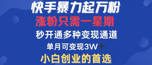快手暴力起万粉，涨粉只需一星期，多种变现模式，直接秒开万合，单月变现过W【揭秘】-智创网