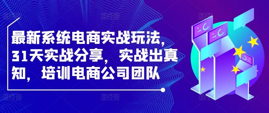 最新系统电商实战玩法，31天实战分享，实战出真知，培训电商公司团队-智创网
