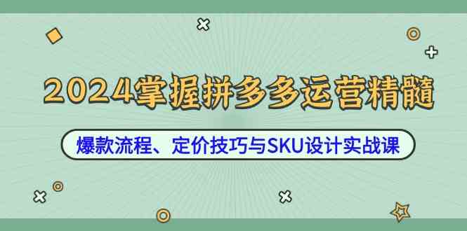 2024掌握拼多多运营精髓：爆款流程、定价技巧与SKU设计实战课-智创网