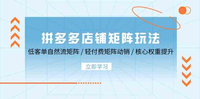 拼多多店铺矩阵玩法：低客单自然流矩阵 / 轻付费矩阵 动销 / 核心权重提升-智创网