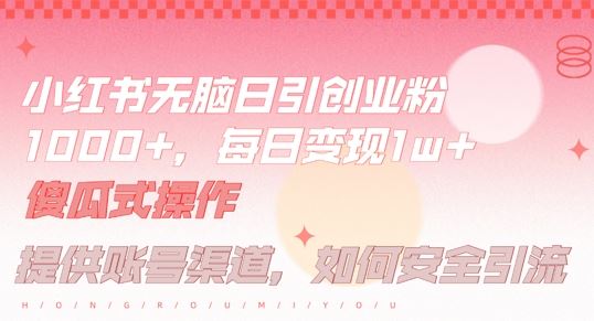 小红书无脑每日引流创业粉500+，小白每天只花半小时，躺赚长尾收益【揭秘】-智创网